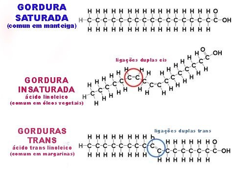 Gorduras hidrogenadas e trans encontradas na maioria dos alimentos ...